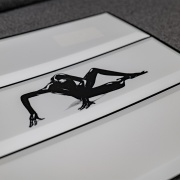 Panel PVC 3D, Estampado Realista. MOOD  